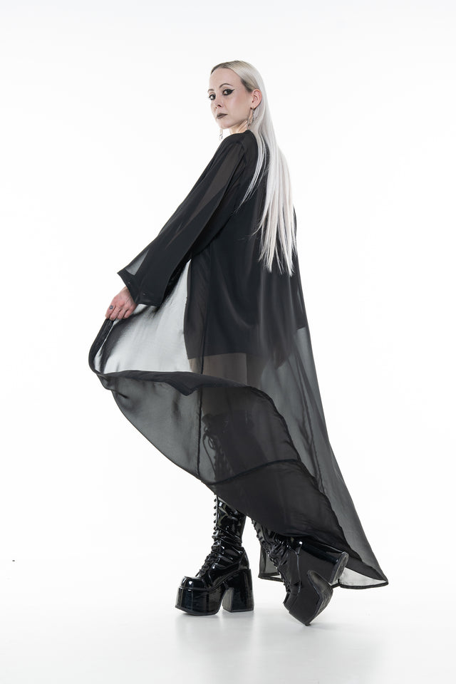 THE VAMPIRE DUSTER